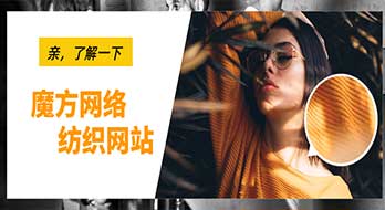 魔方網絡案例賞析之--紡織企業網站